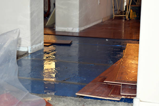 Professional Water Damage Restoration technician working in Hemlock, MI